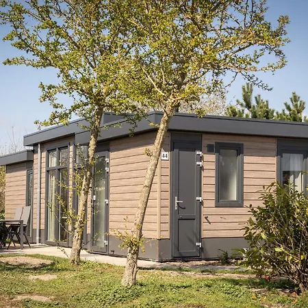 Modern With Dishwasher On Texel De Cocksdorp (Texel)