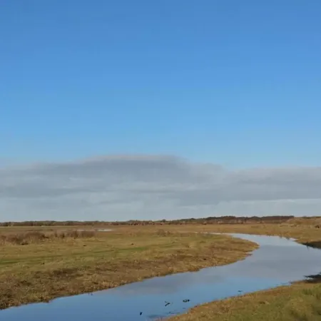 Modern With Dishwasher On Texel Chalet